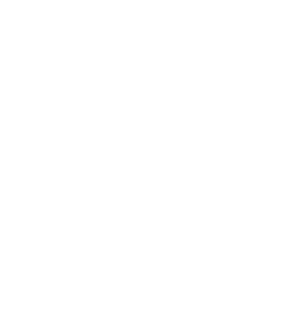 团队专业