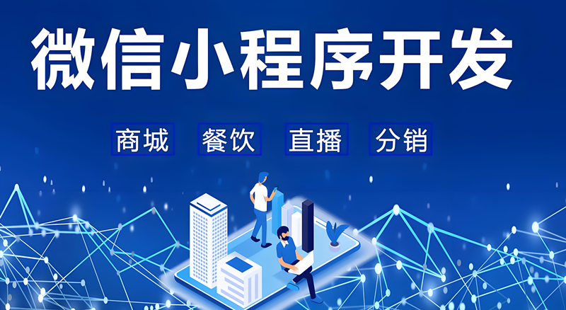 【深圳小微程序】SEO优化案例