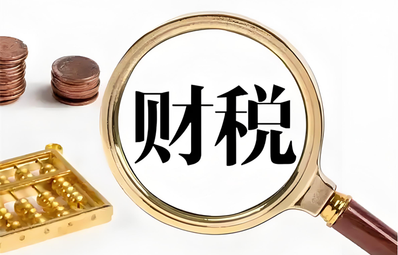 【某财税行业头部】SEO优化案例